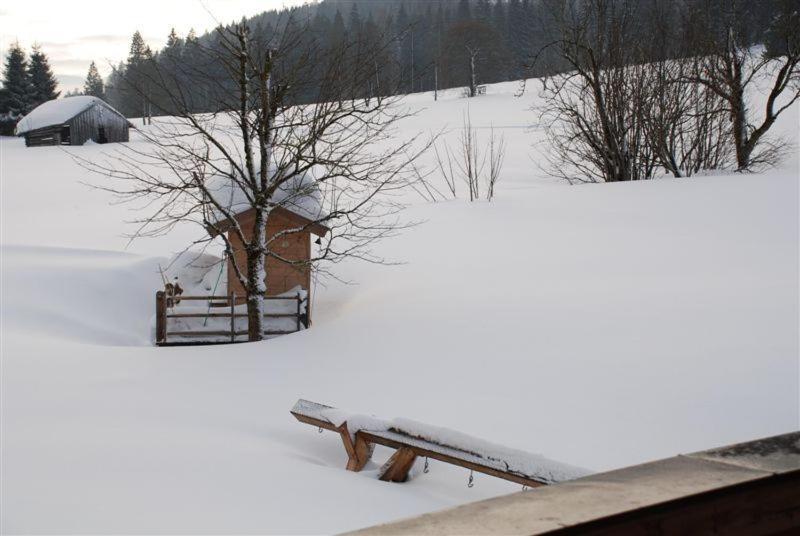 Landhaus Gertrude Eder Leogang Extérieur photo